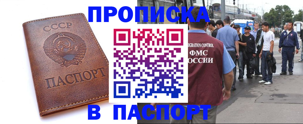 временная регистрация поиск в Дальнегорске